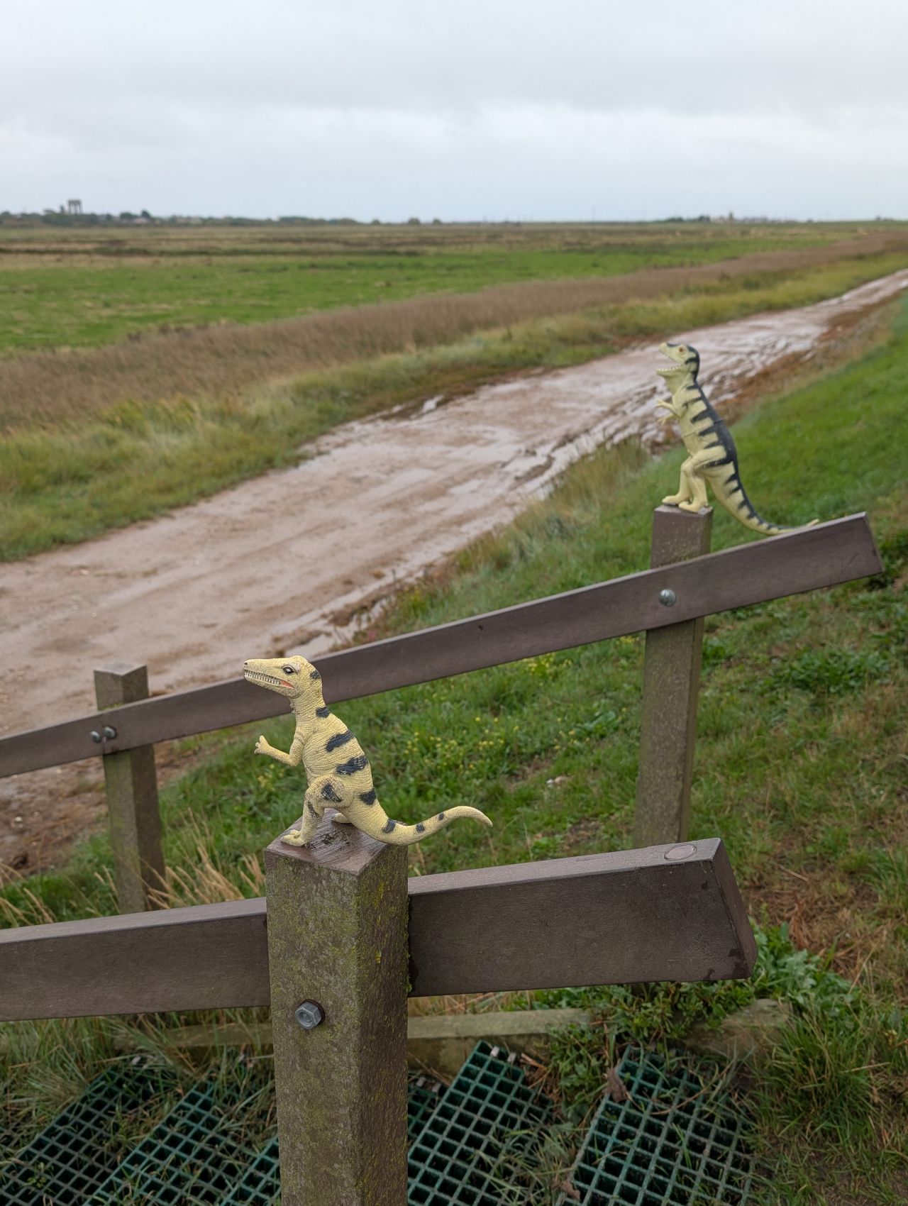 2025-09-17 03 Old Hall Farm and Walberswick.jpg